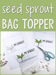 Little ones can be a handful at. Plants And Seeds Activities And Lesson Plans For Pre K And Preschool Prekinders