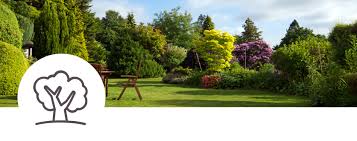 Check our reviews, buy your perfect perennials / groundcover plants with confidence! Plant Nursery Garden Center Serving Denver Aurora