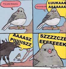 15 763 zakażeń i 616 zgonów. Szpakowski Zegna Lukasza Piszczka Joe Monster