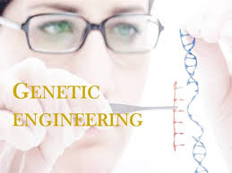 Genetic Engineering Eligibility Criteria, Genetic Engineering Career  Prospects