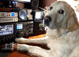Read on for some hilarious trivia questions that will make your brain and your funny bone work overtime. Ea8axt Callsign Lookup By Qrz Ham Radio