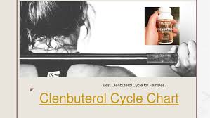 Clenbuterol Cycle Chart Authorstream