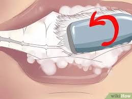 If the cause is determined to be purely periodontal in nature, then your veterinary professional will recommend appropriate veterinary dental care by a veterinary professional who is trained to do it. How To Stop Bleeding Gums Gingivitis Periodontitis 11 Steps