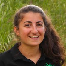 RAPPORT D'ACTIVITÉS 2020 INNOVER & ENTREPRENDRE SOLID ARITÉ & DIVERSITÉ  CHAIRES & THINK -T ANKS SA V OIRS &am