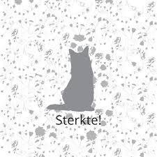 Sterkte Afscheid Kat Huisdier Aandenken Huisdier Citaten Hond Gedenkteken