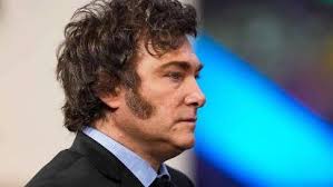 Tom, el perro héroe de Malvinas: Se coló en la guerra y anticipaba ataques  enemigos