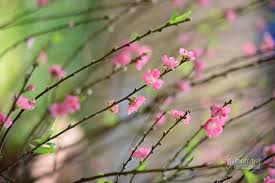 Trước khi xem ngày tốt động thổ để bắt đầu công việc xây sửa nhà cửa thì bạn cần xem vận hạn năm 2021 của mình. Thnm Láº­p Xuan 2021 Nen Chá»n HÆ°á»›ng Xuáº¥t Hanh Ä'áº§u NÄƒm Nao Tá»'t Tin Hot Ngay Má»›i