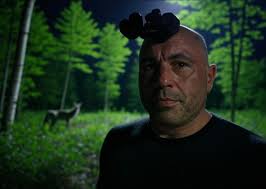 Who is the person trespassing