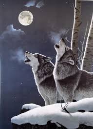 An Amazing Picture So Beautiful Wolves Howling At Moon Wolf Pictures Wolf Howling At Moon Wolf Art