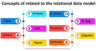 Relational Model In Dbms Relational Model Dbms Education