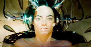 Brian Roque, Author at Ranker Trending