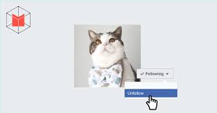 หมดเวลาของแมวหรือยัง? คุยกับ ทูนหัวของบ่าว ในวันที่ Cat Marketing แผ่วลง