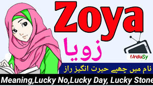 Zoya زویا Name Meaning Zoya Naam Ka Matlab Kya Hota Hai Zoya Naam Ke M In 2020 Girl Names With Meaning Islamic Baby Names Arabic Baby Girl Names