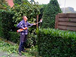 Otez prohodit posle raboti domoj posdno wecherom w 9 chesov. Ihr Gartenritter Monika Und David Kunter Gbr