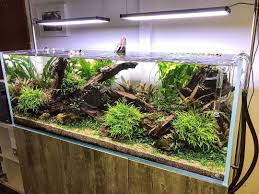 Our Biggest Store Display The Aquascaper 1500 On Raw Concrete Grey Cabinet Powered By Twinstar S Lighting Aqua Aquarium Aquarium Garden Aquascape Aquarium