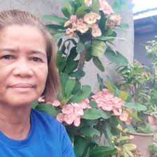 Opisyal na pahayag ng DepEd Nueva Ecija hinggil sa shooting incident na  nangyari sa Sta. Rosa Integrated School ngayong araw.