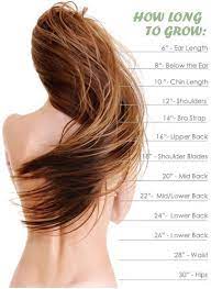 It's about 9 months, give or take a few days. Hair Growth Calculator Long Hair Styles Hair Styles Grow Hair