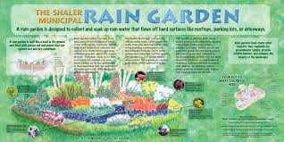 Illustration For Rain Garden Interpretive Sign Rain Garden Rain Garden Design Garden Shower