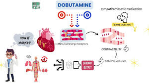 Image result for Dobutamine