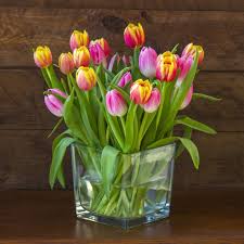 La soluzione a sono simili alle rose inizia con la lettera p ed è lunga 6 lettere. Fiori Di Stagione I Fiori Che Fioriscono In Ogni Mese Dell Anno