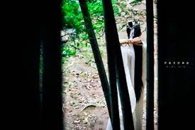 pin by 小猫on 2ha 二哈和他的白猫师尊 haoyixing immortality chinese drama photo white cat pictures