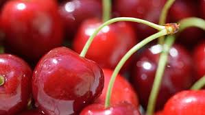 Destacan Buenas Expectativas Para La Cosecha De Cerezas En Neuquen Agroempresario Com