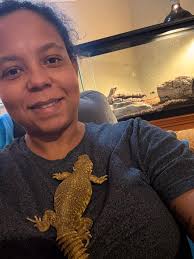 This is Mushroom, he is a Yellow male Uromastyx “spiny-tailed Lizard and I  just got him