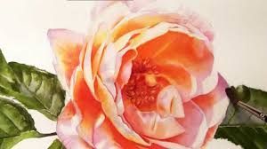 Get a feel for what it's like to hold them and move them across a page. How To Paint Realistic Stunning Flowers Watercolor Dvd And Video Online Lessons Youtube