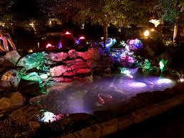 Led Pond Garden Lighting The Fish Guy Pond Maintenance Aquarium Maintenance Services Pond Contractor