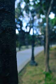 Find over 100+ of the best free photoshoot background images. Random Dslr Background Images Background Images Hd Hd Background Download