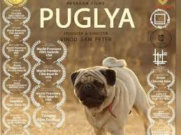 The 25 best foreign films of the decade. Marathi Film Puglya Awarded Best Foreign Language Feature At The Moscow International Film Festival 2021