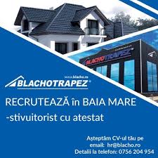 Stiu partea de sterilizare și. Locuri De Munca Baia Mare Posts Facebook