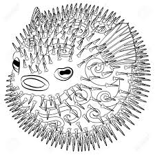 Free printable fish coloring pages are a fun way for kids of all ages to develop creativity, focus, motor skills and color recognition. Coloring Page With Puffer Fish In Patterned Style Black White Royalty Free Cliparts Vectors And Stock Illustration Image 123194003