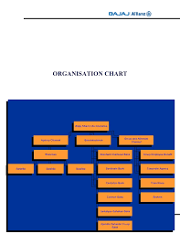 Costmer Awareness Project Report Bajaj Allianz