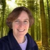 Americans support climate change policies, especially those that give them  incentives and clean up the energy supply