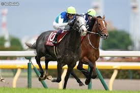 【阪神大賞典】春の楯へ直結する一戦！データが示す“鉄板の軸”（競馬ラボ）
