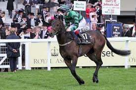 Jack Dexter Thoroughbred Horse Profile