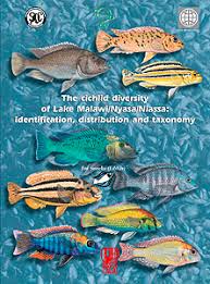 The Cichlid Diversity Of Lake Malawi Nyasa Niassa Identification Distribution And Taxonomy