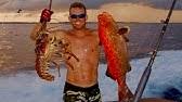 If you're looking for an absolutely incredible. Spearfishing For Fresh Fish Tacos Tasty Tuesday 22 Youtube