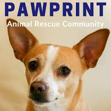 It was owned by several entities, from pet food express of pet food express to statutory masking enabled, it was hosted by squarespace, microsoft corporation and others. Pawprint Animal Rescue Podcast For Dog Cat And Other Animal Lovers Listen Notes