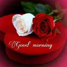 Good Morning Msg Good Morning Roses Good Morning Gif