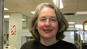 Double death above the snowline: Seddon Bennington and Rosie Jackson perish  in Tararua ranges