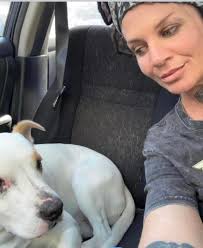 A Christies Beach man charged with stealing seven pitbull cross puppies has  sensationally claimed he was trying to save them. #9News