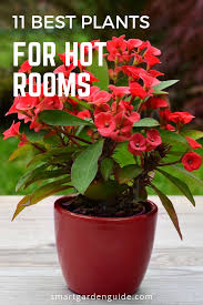 Pin On Plants That Grow In The House