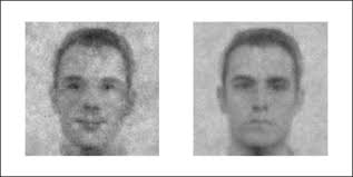 The many faces of compensation: The similarities and differences between  social and facial models of perception