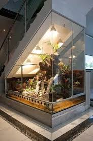 Otherpet Accessoriespet Housesreptilesmall Pet52 Best Bearded Dragon Cage Setup Ideasrebbeca Stewardno Commentposted Stairs Design House Design Indoor Gardens
