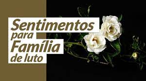 Desde então publicou os romances os meus sentimentos (2005), prémio da união europeia para a literatura, o chão dos pardais (2009), prémio pen club, e o retorno (2011). Meus Sentimentos Para Familia De Luto Youtube