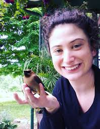 There's a bluebird in there, I promise.