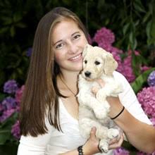 Adorable akc golden retriever puppies. 1 Golden Retriever Puppies For Sale In Pittsburgh Pa