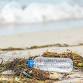 Beach Cleanup event image